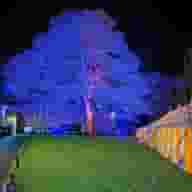 Formal Event Venues