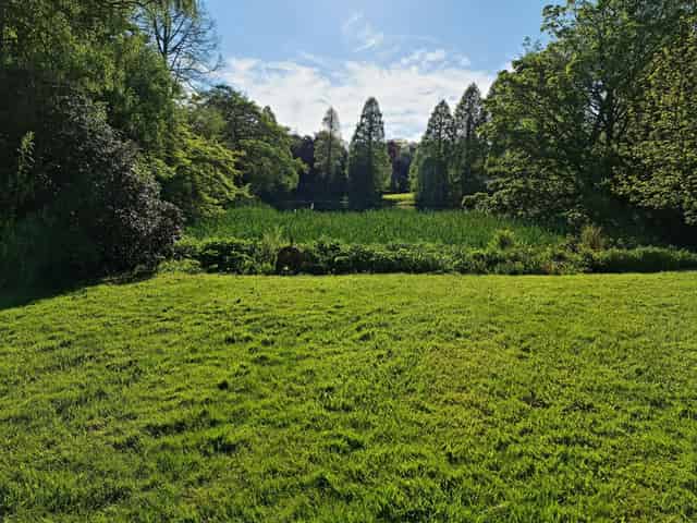 Weston Park