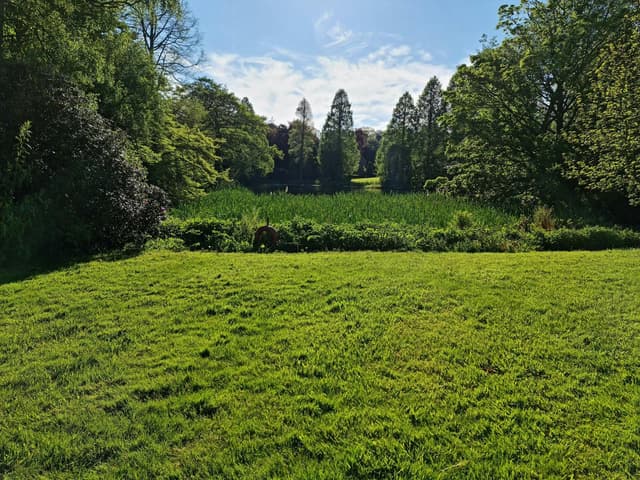 Weston Park