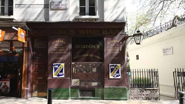 The Vine