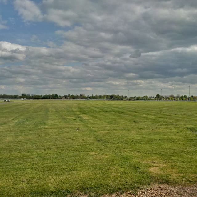 Racecourse