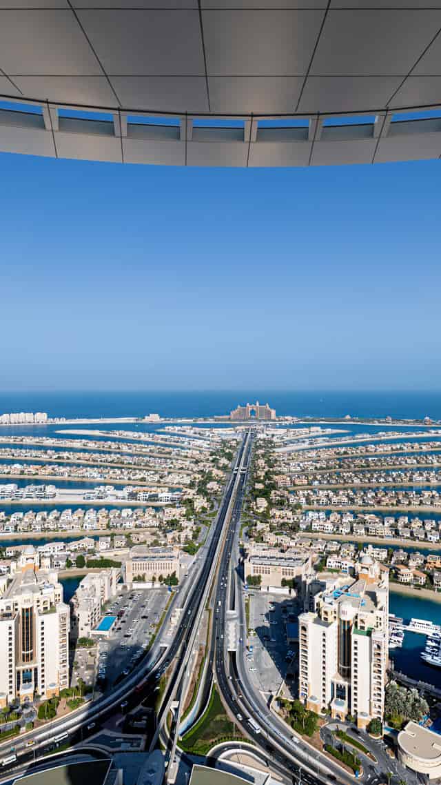 The Palm View Deck