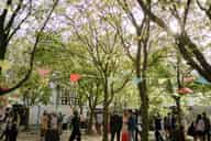 Sustainable Conference Venues