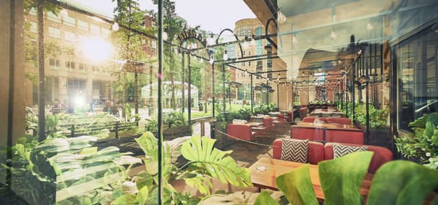 Expansive Interior