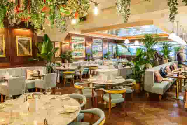 Piccolino Birmingham