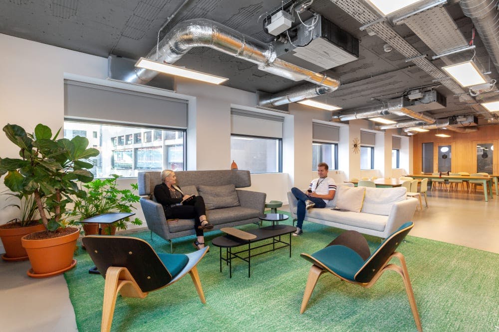 Modern meeting space with greenery for collaborative brainstorming sessions.