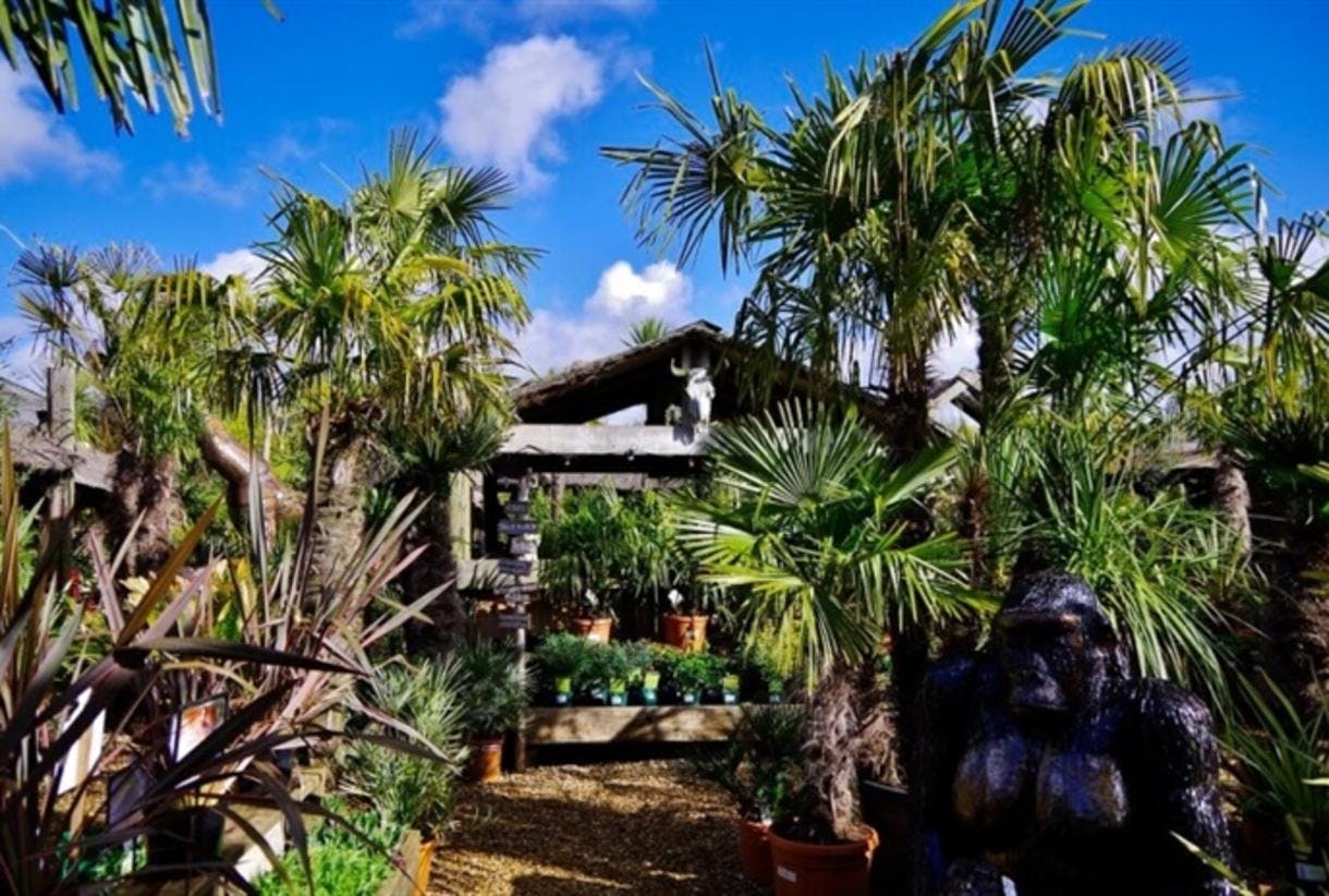 Outdoor restaurant in Akamba Venue with lush greenery, ideal for events and gatherings.