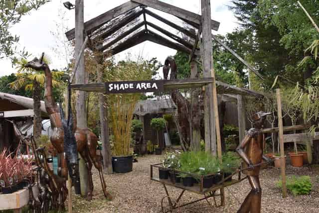 Akamba Venue