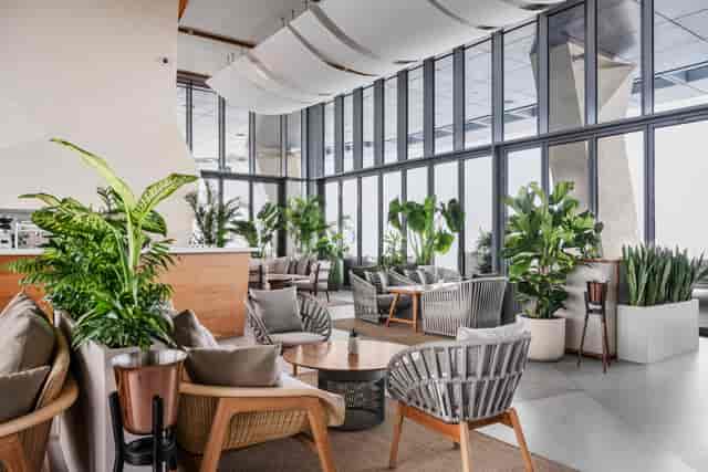 The Palm View Deck