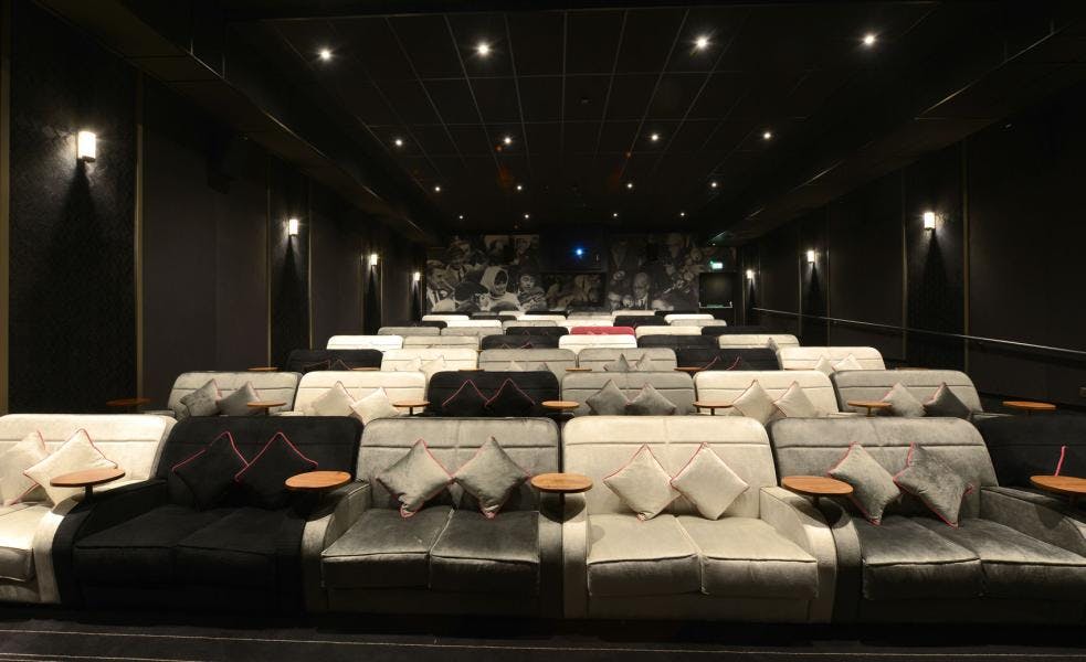 Modern seating in Signing Tree Venue, ideal for networking events and presentations.