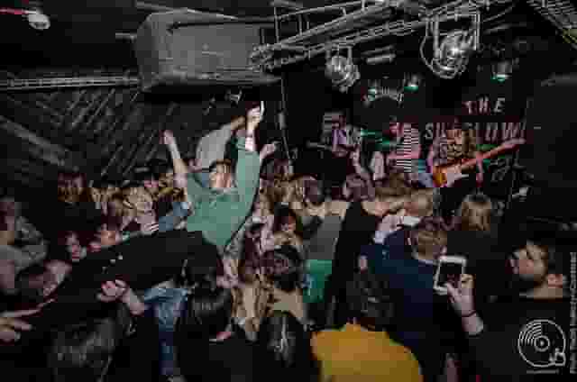 The Sunflower Lounge