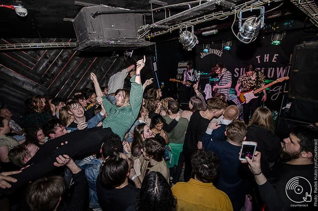 The Sunflower Lounge