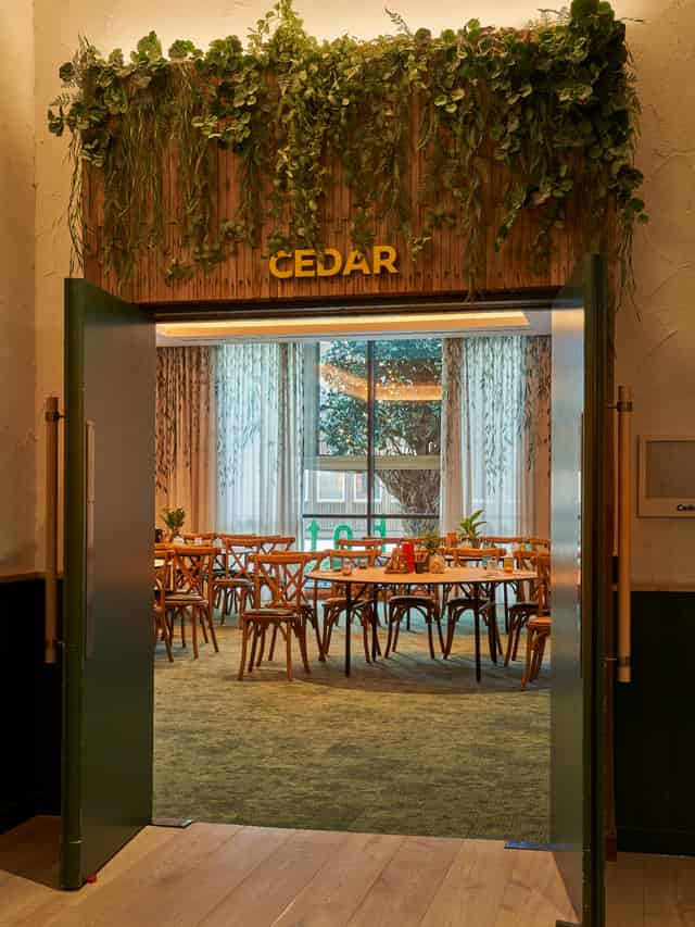 Cedar