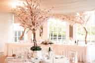 Party Venues