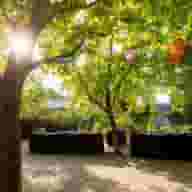 Sustainable Event Venues