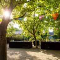 Conference Venues
