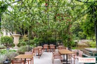 Outdoor Terraces