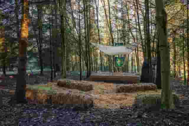 Woodland STAGE
