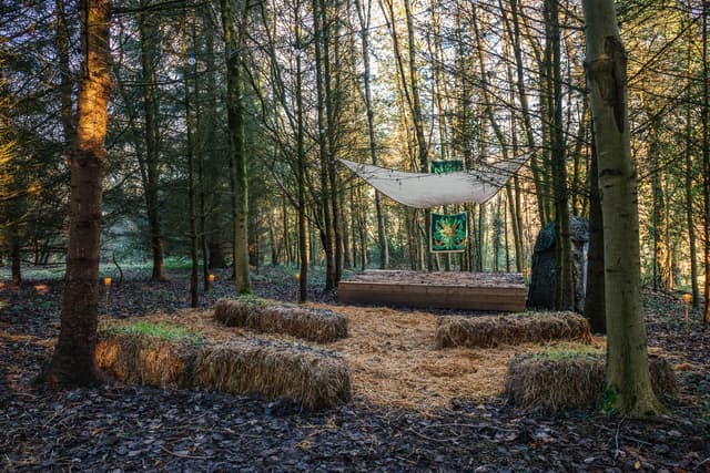 Woodland STAGE