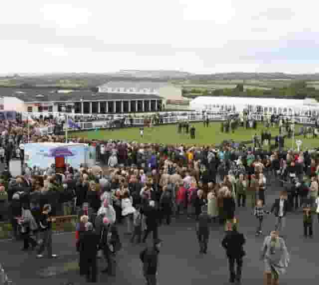 McCoys Marquee
