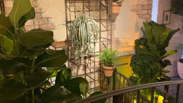 The Botanist Cardiff Central