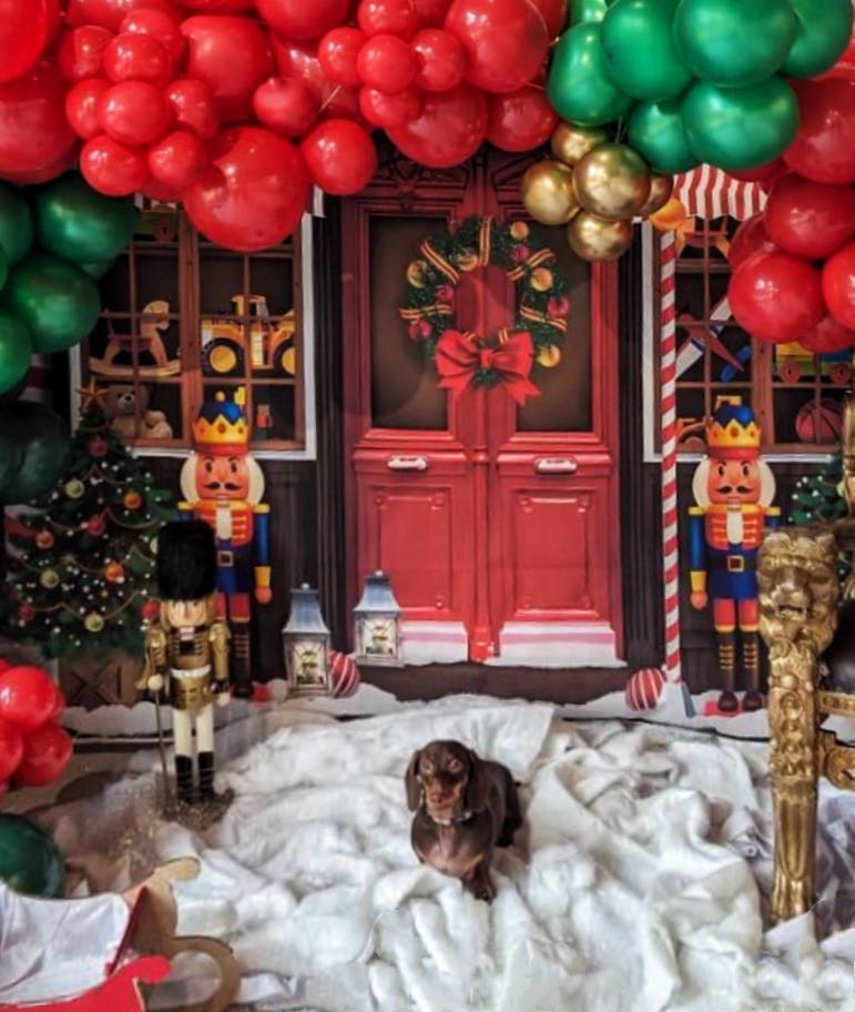 Festive holiday backdrop with nutcrackers for Brand Activations and events.