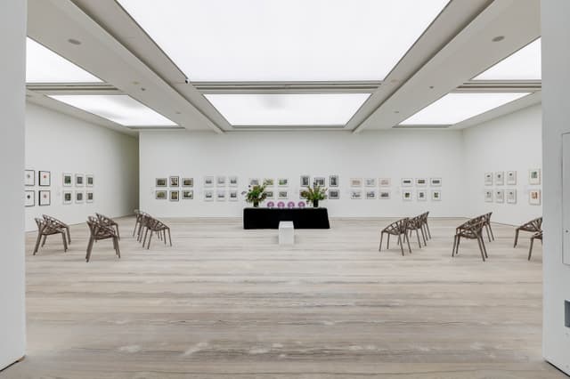 Saatchi Gallery