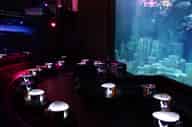 Summer Party Venues