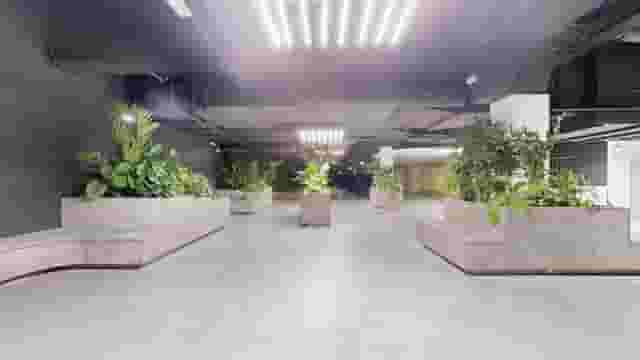 C2 Immersive Floor
