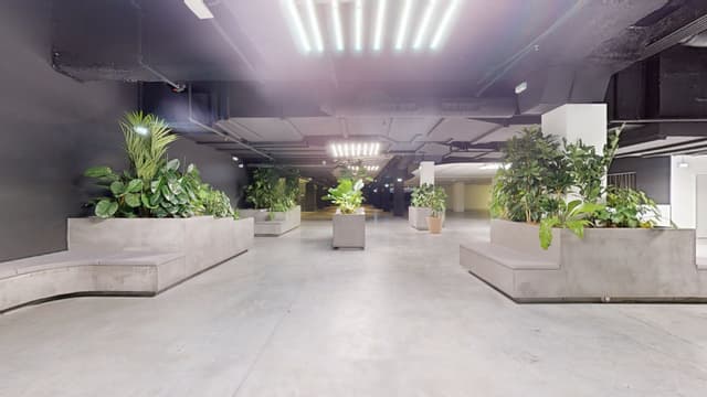 C2 Immersive Floor