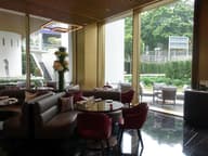 Christmas Party Venues