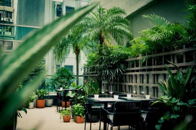 Main dining room