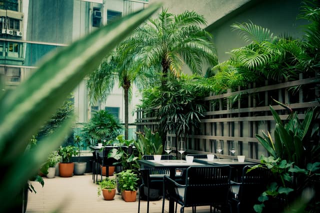 Main dining room