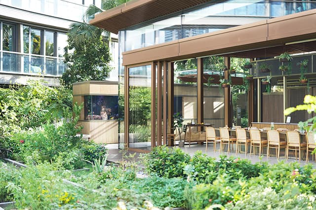 Outdoor area