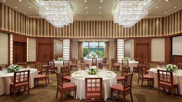 Seven Seas Pacific Aviation Lounge