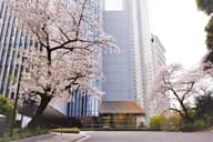 Sustainable Conferences