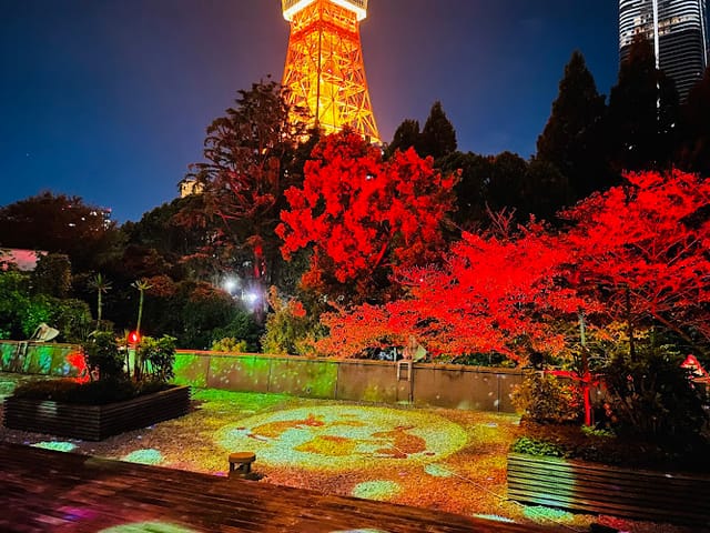 Sunflower Hall at Tokyo Prince Hotel, illuminated outdoor venue for evening receptions.