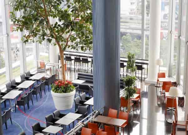 Modern event space at Shibuya Excel Hotel Tokyu with natural light and greenery.