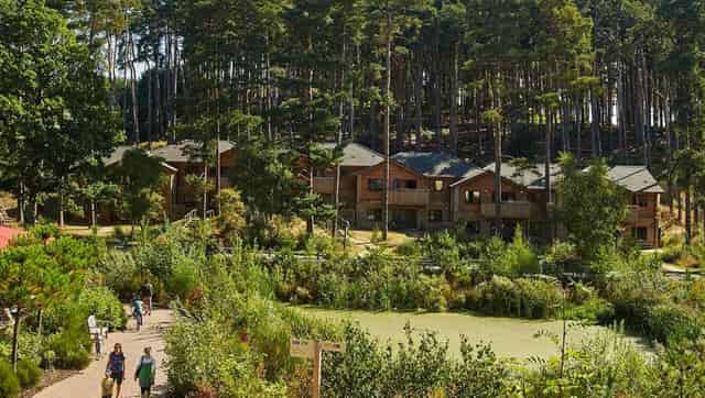 Centre Parcs,Woburn Forrest