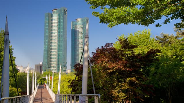 C동