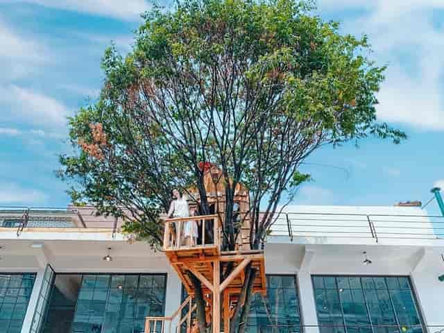 Treehouse venue at SFACTORY, ideal for creative events and team-building activities.