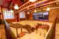 Christmas Party Venues