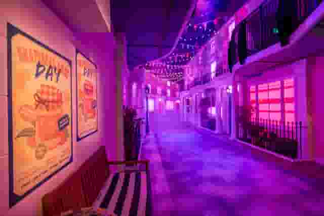 The Paddington Bear Experience