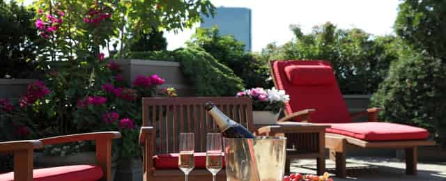 The Roof Deck