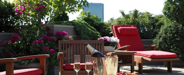 The Roof Deck
