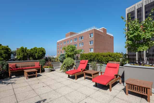 The Roof Deck