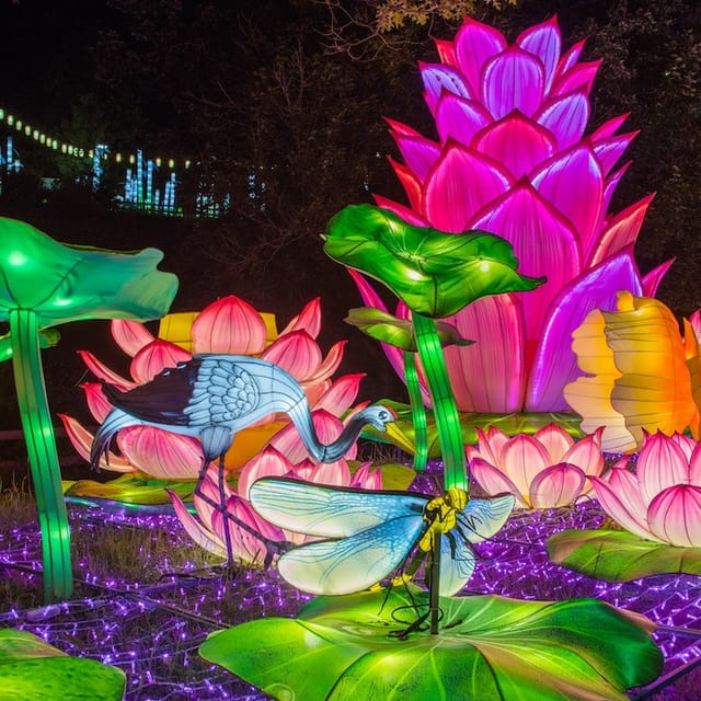 ZooLights Holiday Pavilion with vibrant illuminated flowers, perfect for festive events.