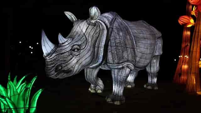 Illuminated rhinoceros sculpture at ZooLights Holiday Pavilion, perfect for festive events.