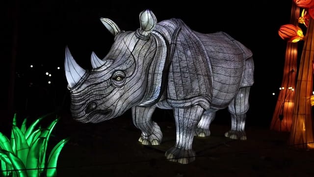 Illuminated rhinoceros sculpture at ZooLights Holiday Pavilion, perfect for festive events.