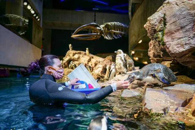 Aquarium